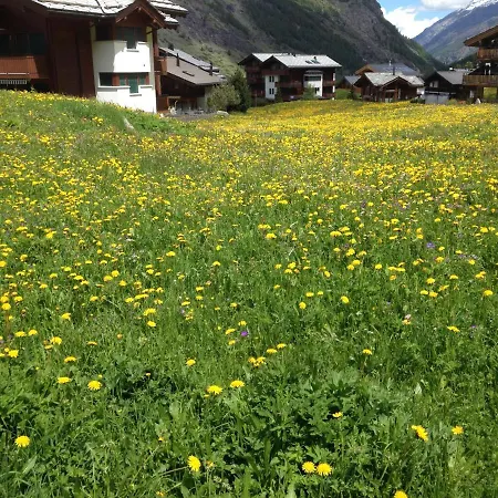Haus Solvay Mit Freier Matterhornsicht Daire